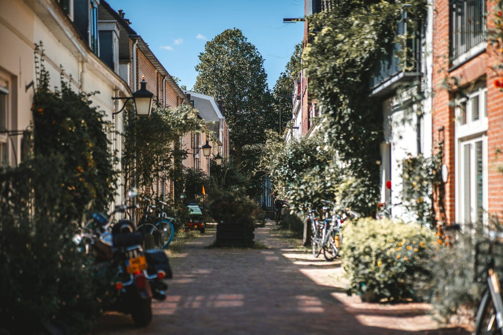 matt mutlu BGyn2xvTObg unsplash